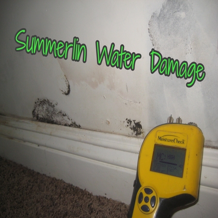 Summerlin Water Damage