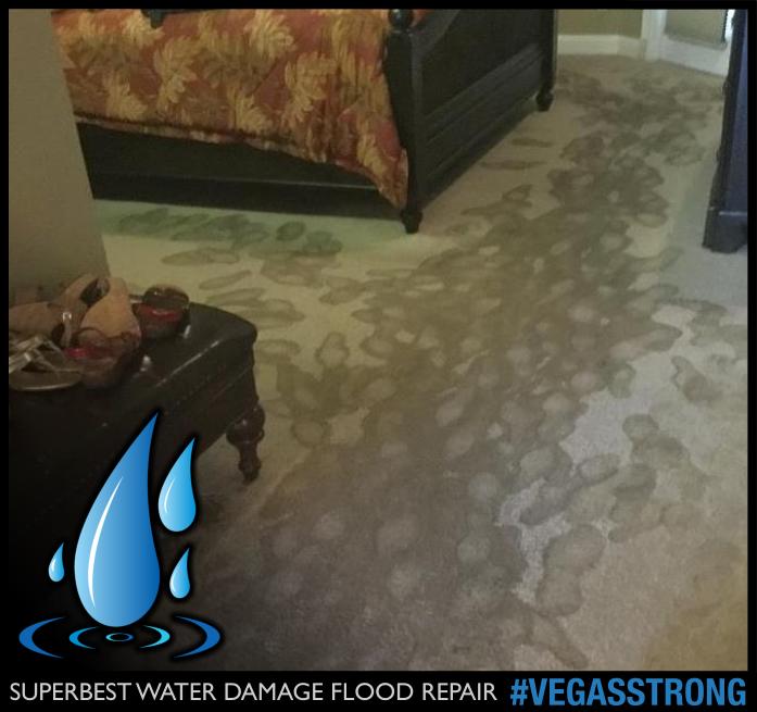 WATER DAMAGE LAS VEGAS 102