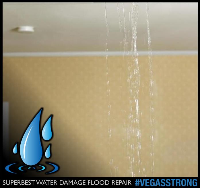 WATER DAMAGE LAS VEGAS 103