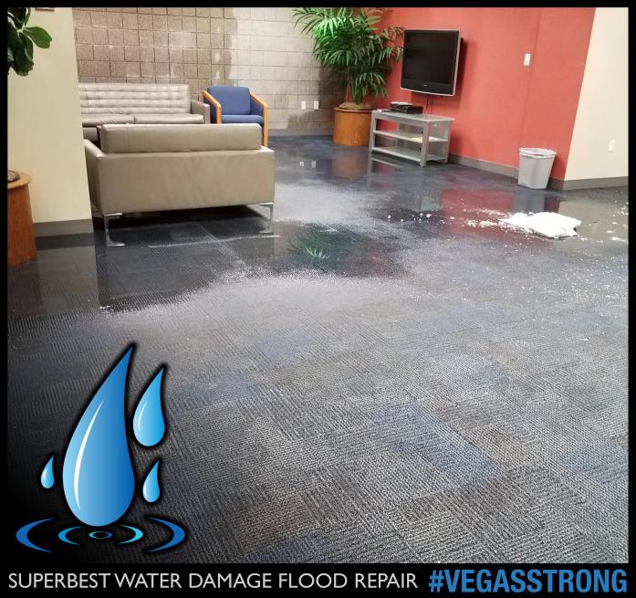 WATER DAMAGE LAS VEGAS 96