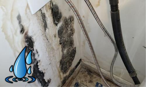 commercial residential water damage restoration las vegas 72